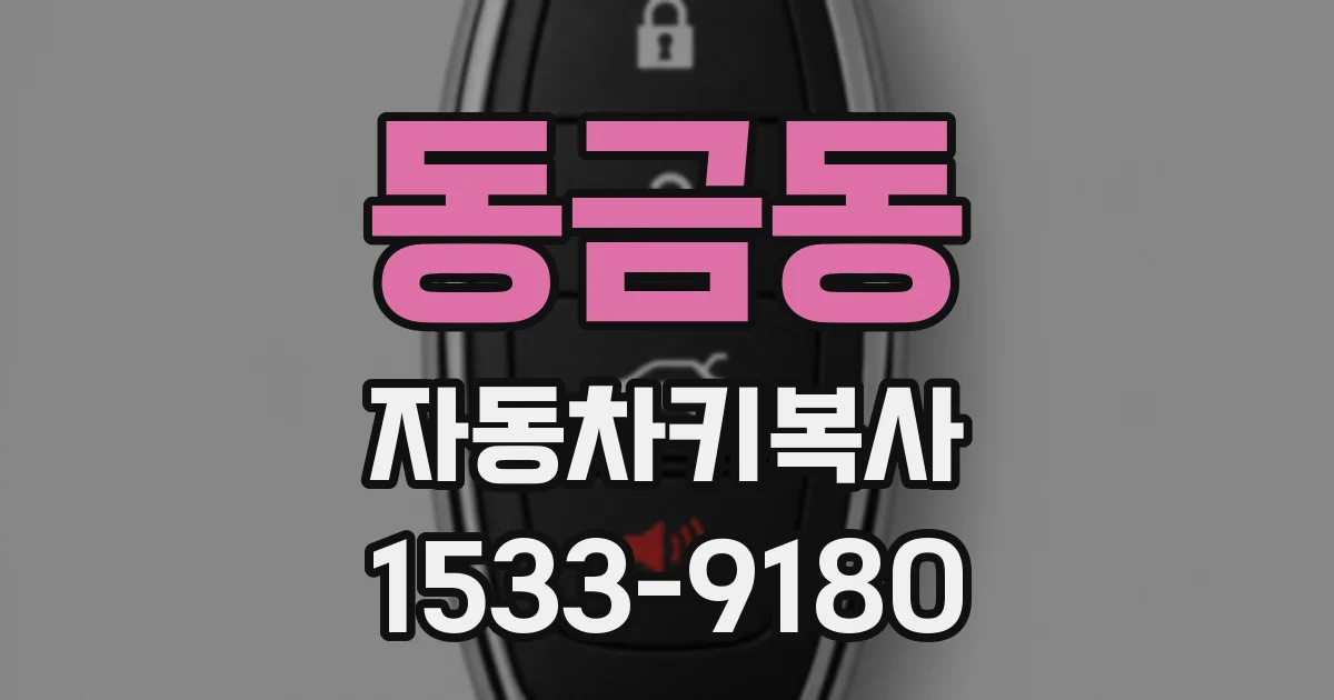 동금동 자동차키복사