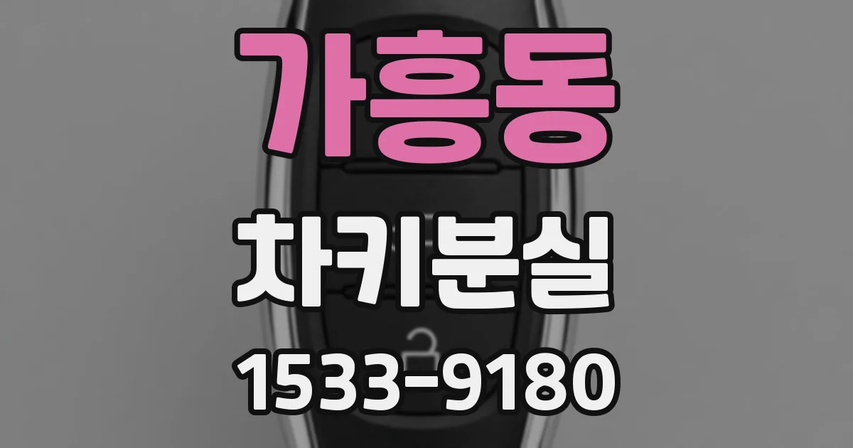 가흥동 차키분실