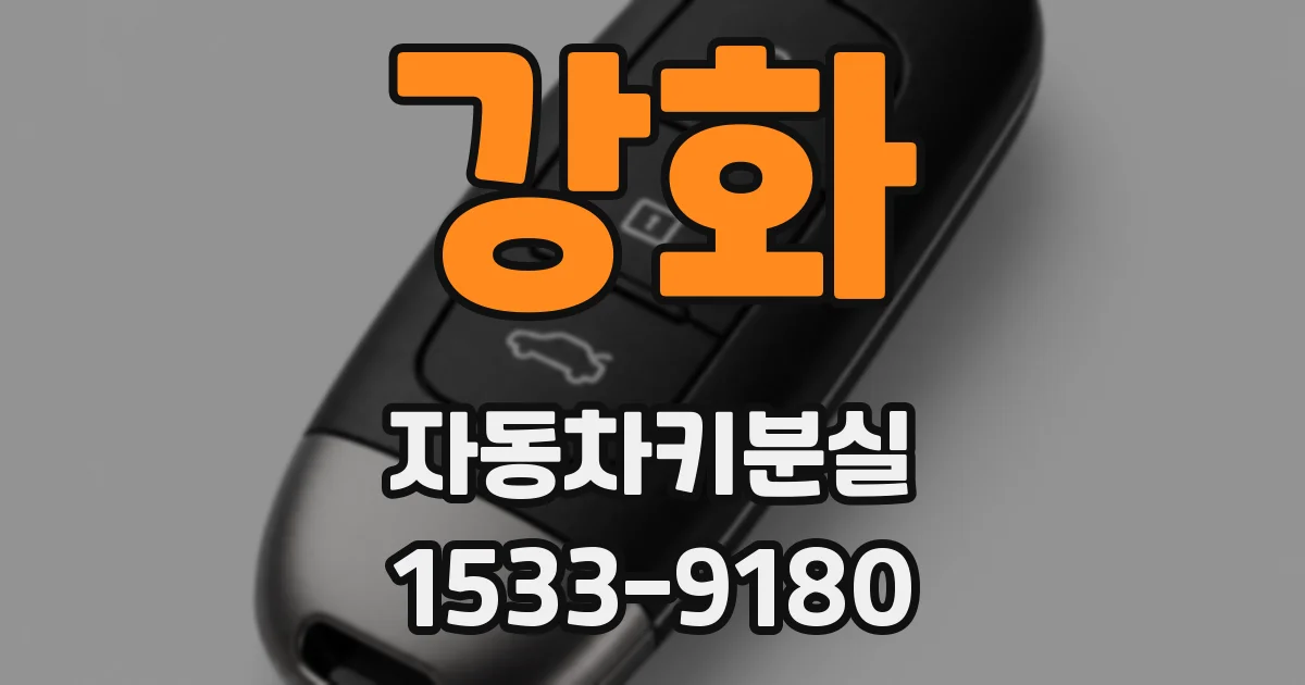 강화 자동차키분실