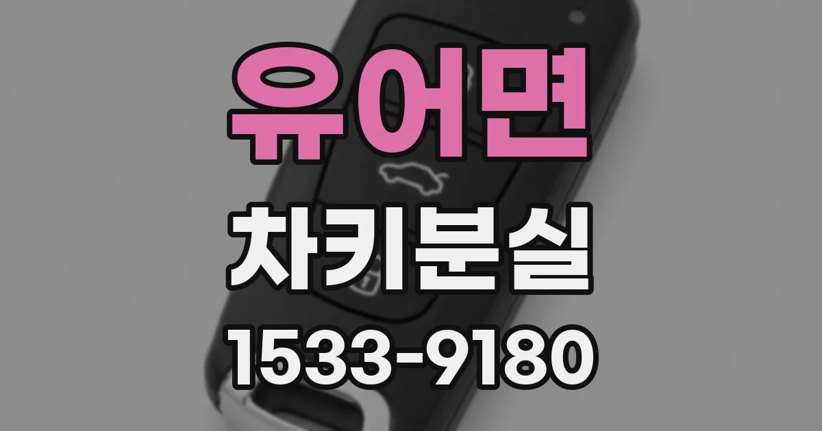 유어면 차키분실
