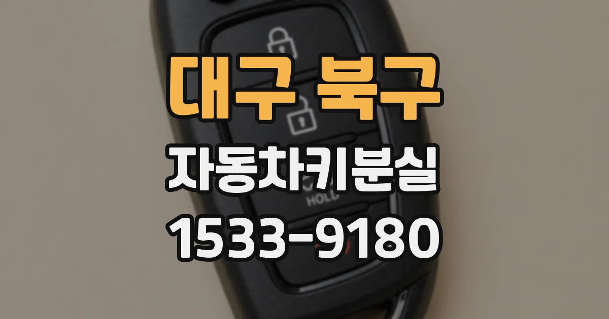 대구 북구 자동차키분실