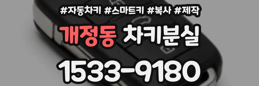 개정동 차키분실
