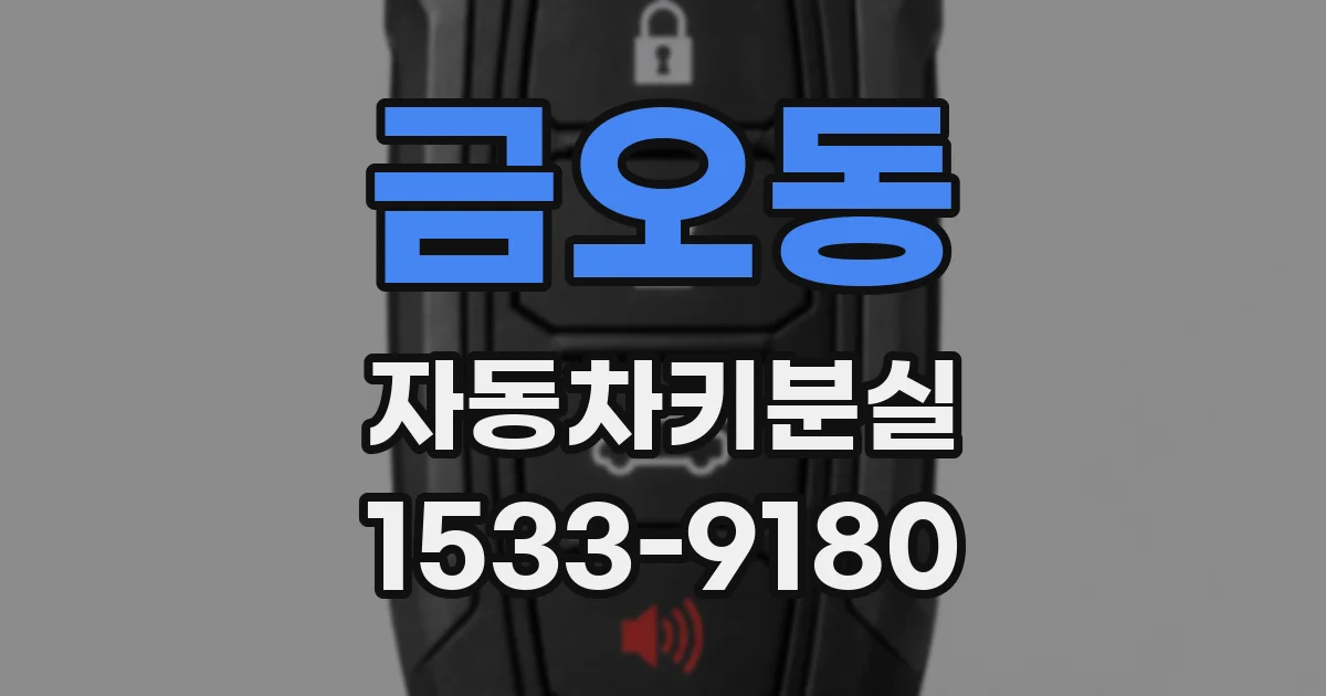 금오동 자동차키분실