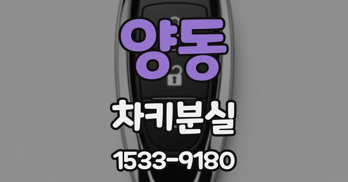 양동 차키분실