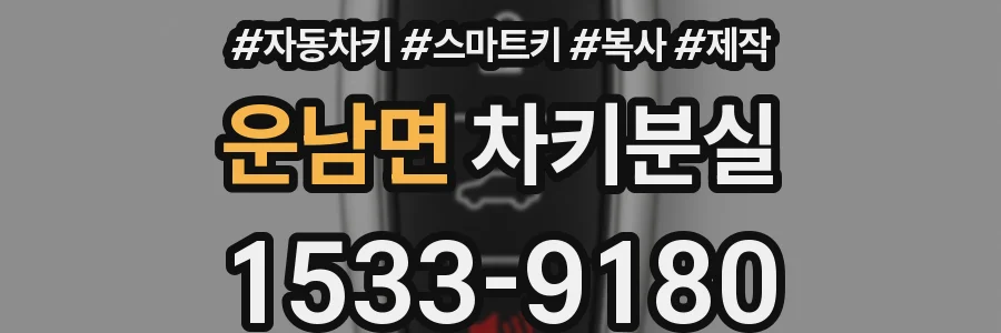 운남면 차키분실
