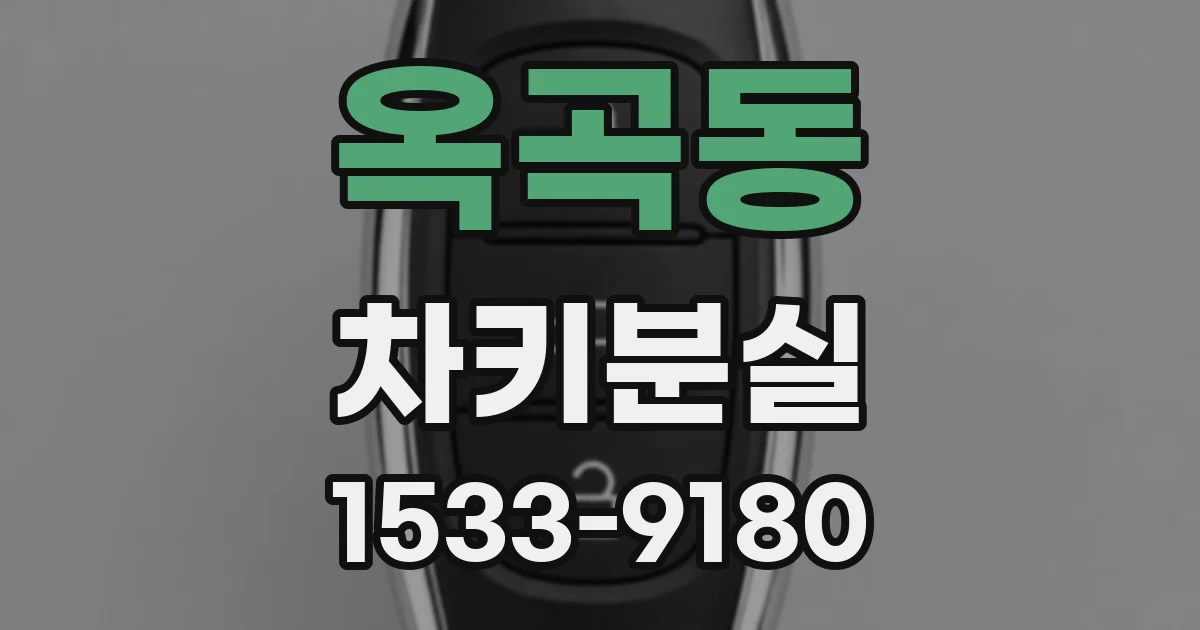 옥곡동 차키분실
