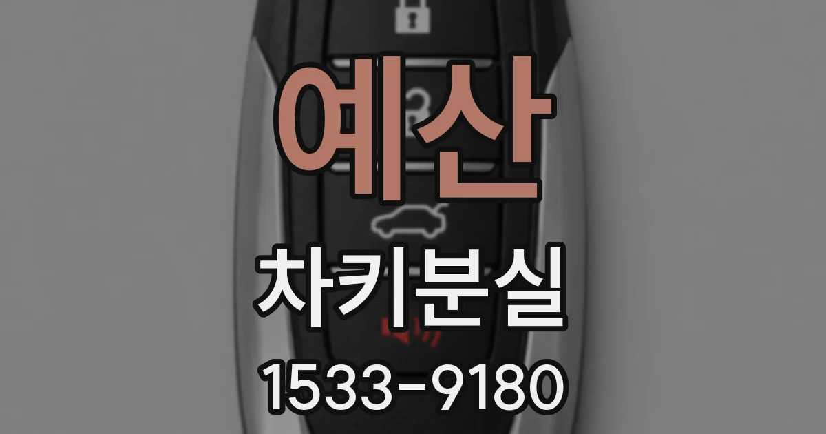 예산 차키분실