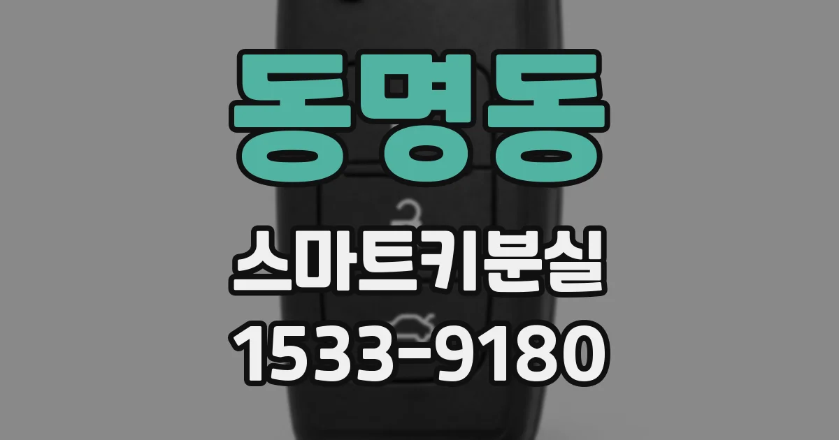 동명동 스마트키분실
