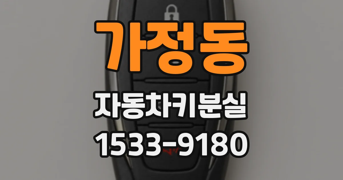 가정동 자동차키분실