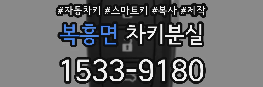 복흥면 차키분실