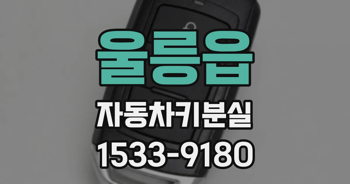 울릉읍 자동차키분실