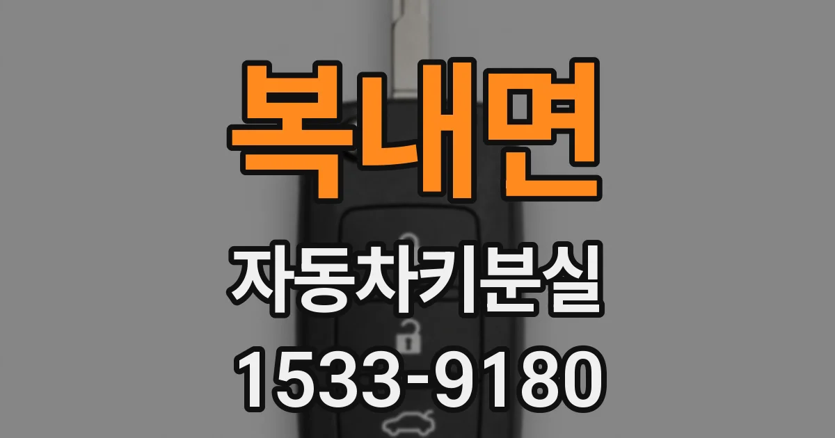 복내면 자동차키분실