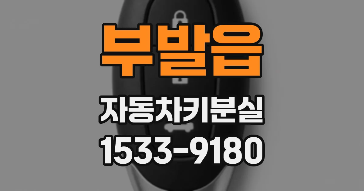 부발읍 자동차키분실
