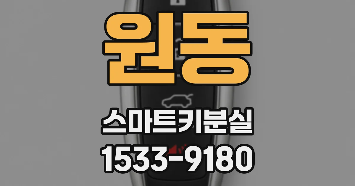 원동 스마트키분실