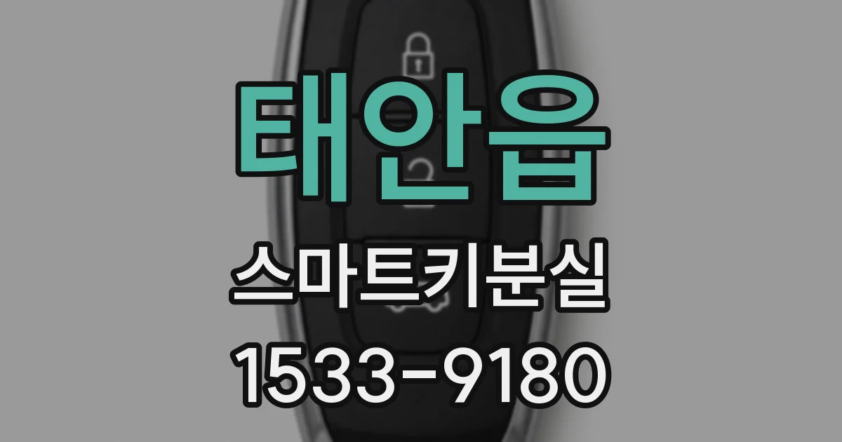 태안읍 스마트키분실