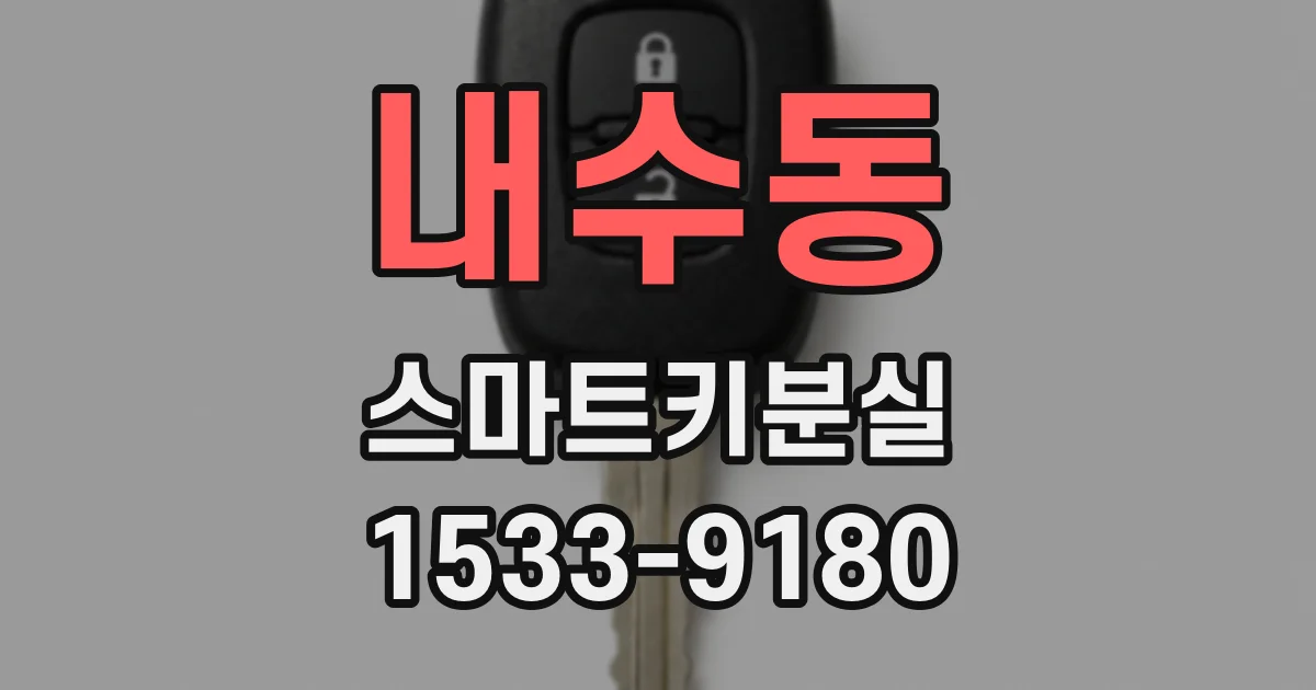 내수동 스마트키분실