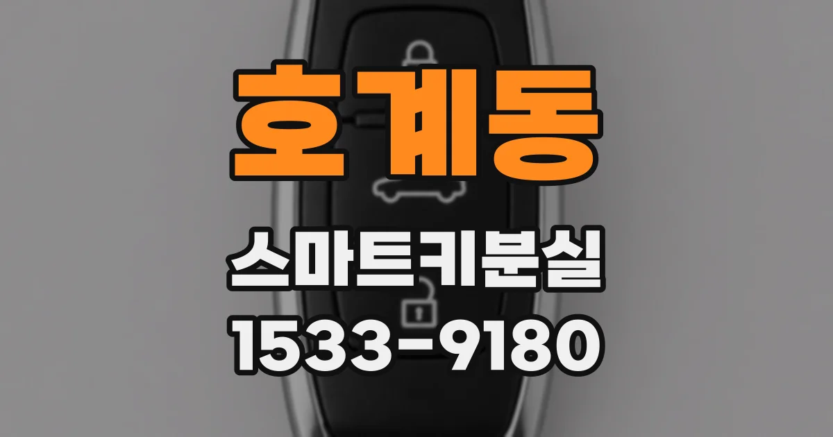 호계동 스마트키분실