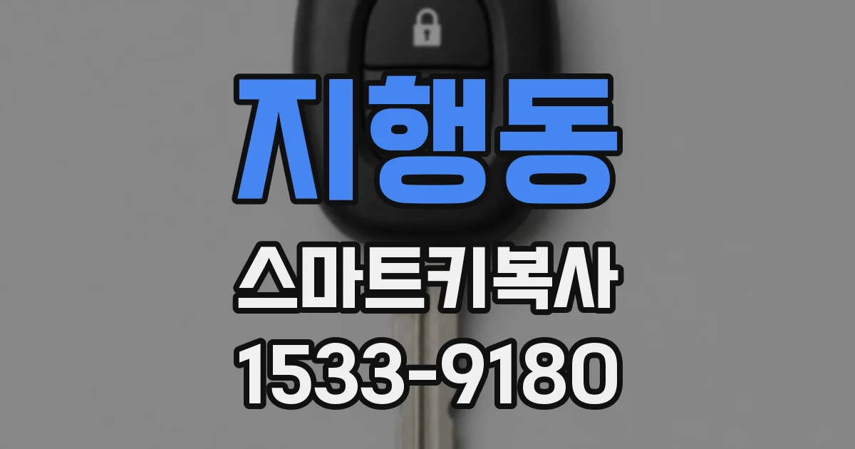 지행동 스마트키복사