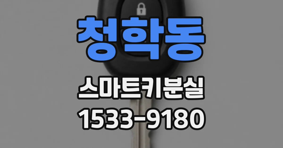 청학동 스마트키분실