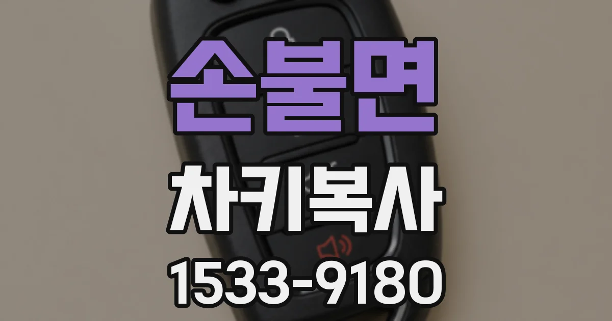 손불면 차키복사