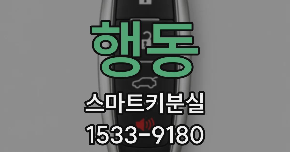 행동 스마트키분실