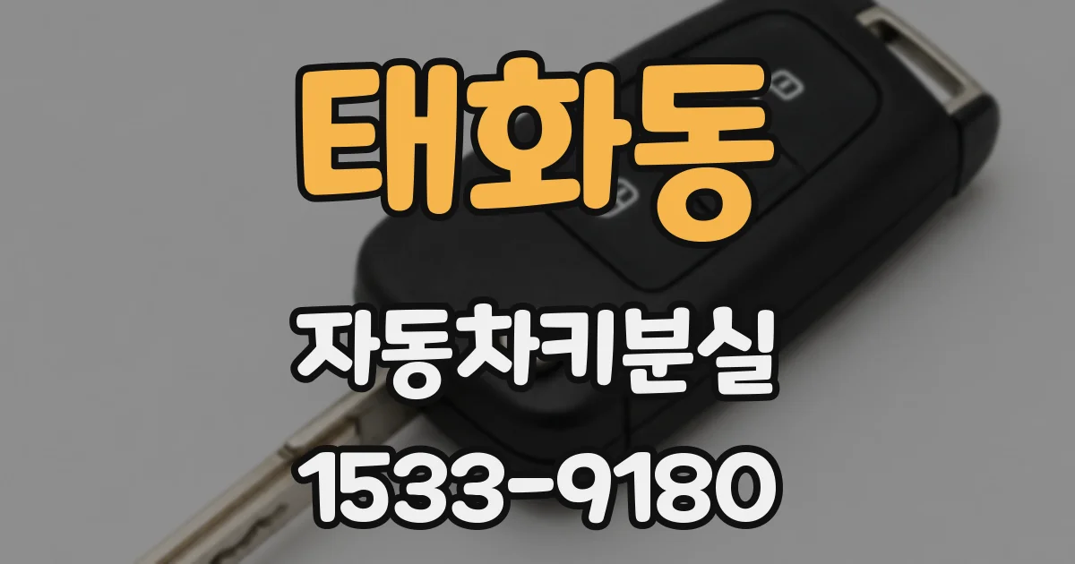 태화동 자동차키분실