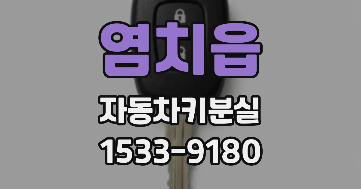 염치읍 자동차키분실