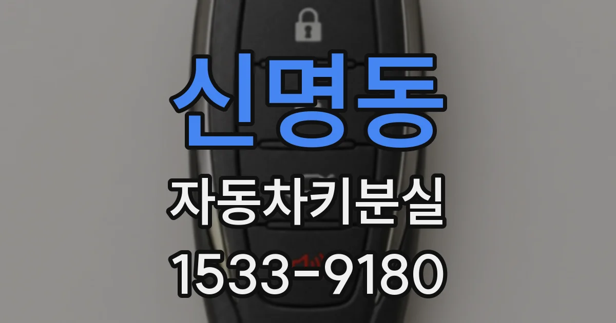 신명동 자동차키분실