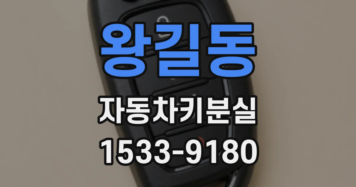 왕길동 자동차키분실