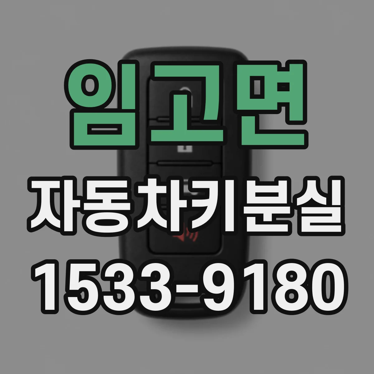 임고면 자동차키분실
