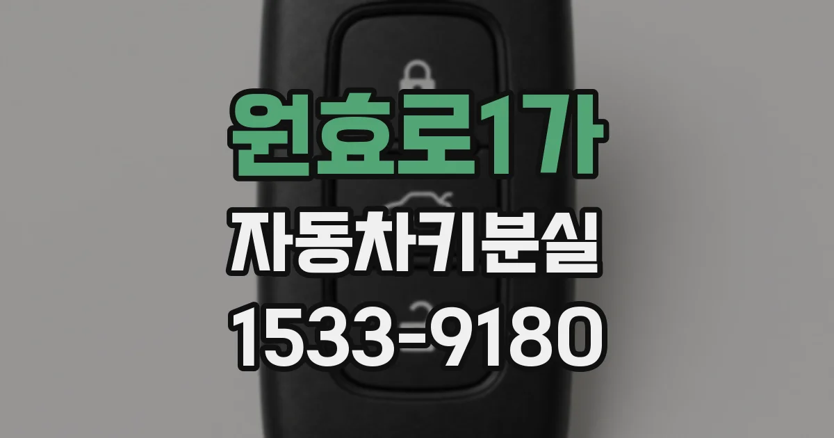원효로1가 자동차키분실