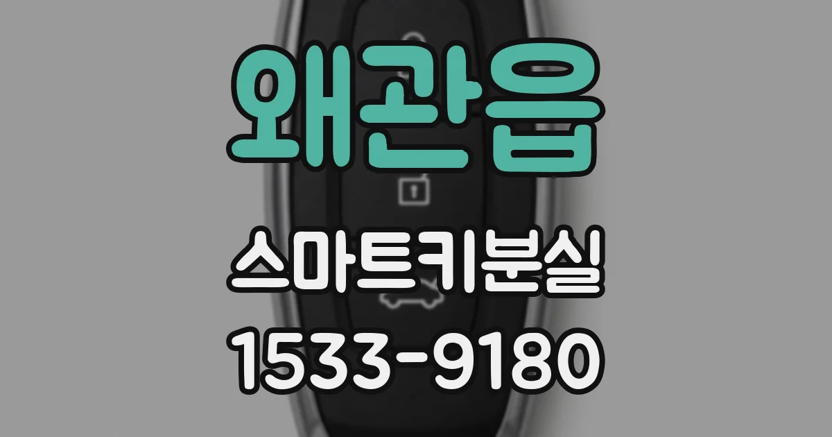 왜관읍 스마트키분실