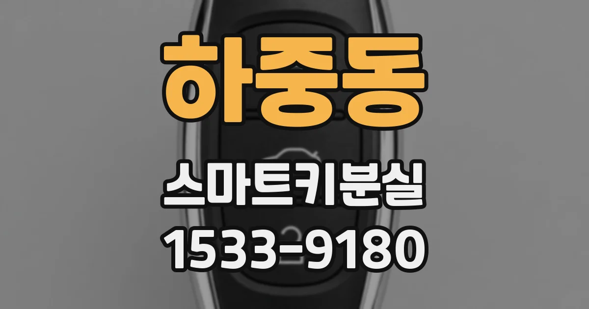 하중동 스마트키분실