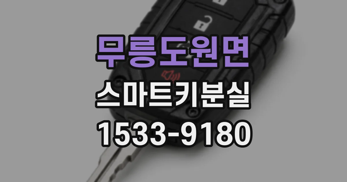 무릉도원면 스마트키분실