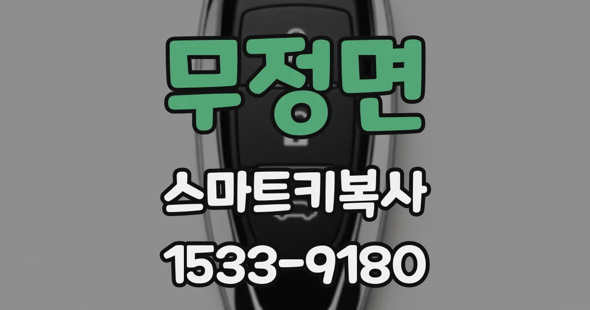 무정면 스마트키복사