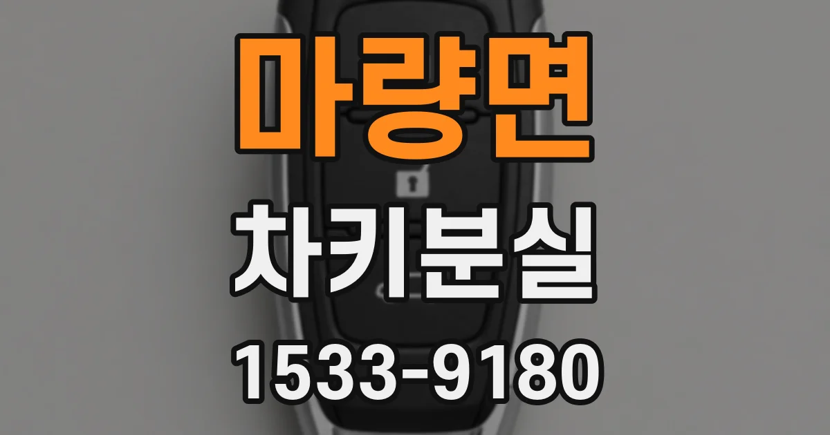 마량면 차키분실
