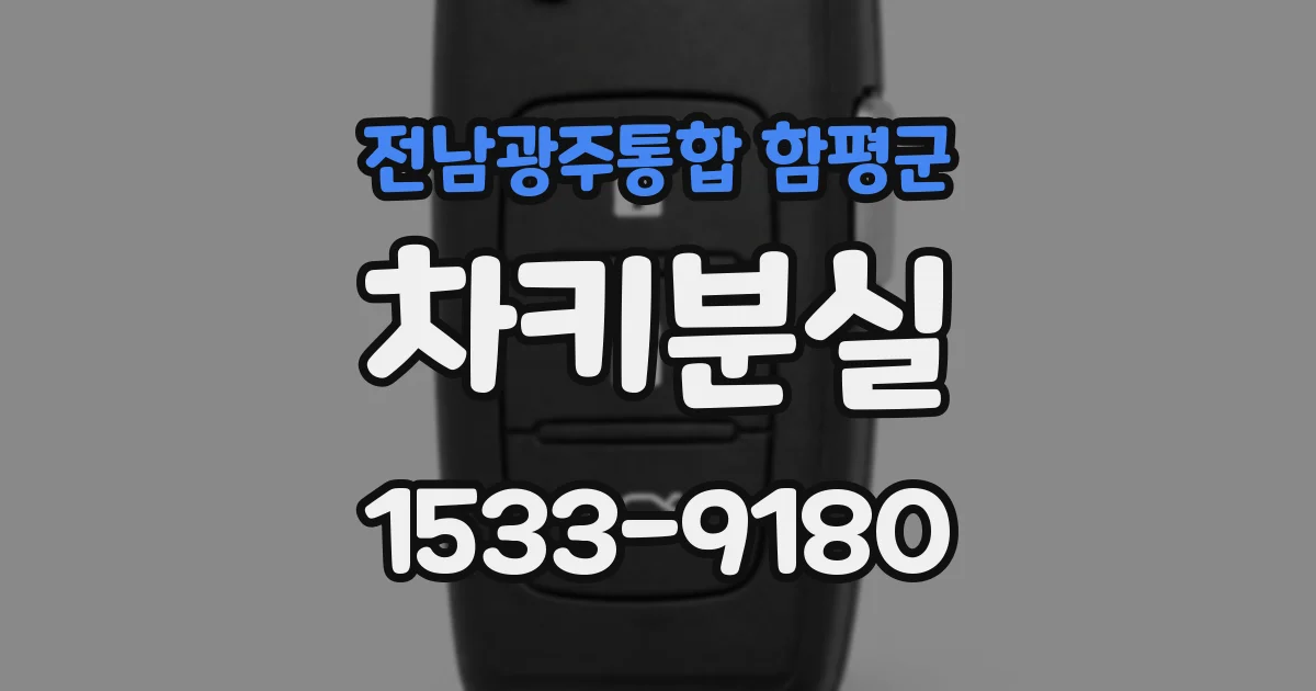 전남광주통합 함평군 차키분실