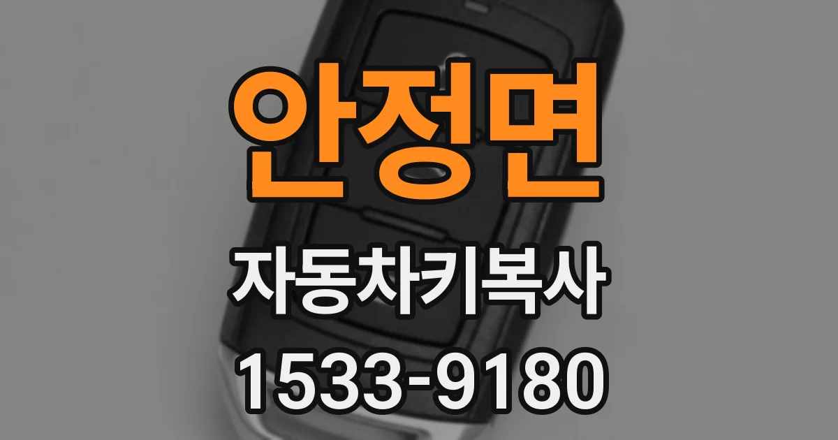 안정면 자동차키복사