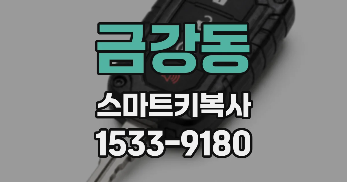 금강동 스마트키복사