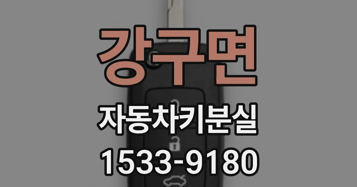 강구면 자동차키분실