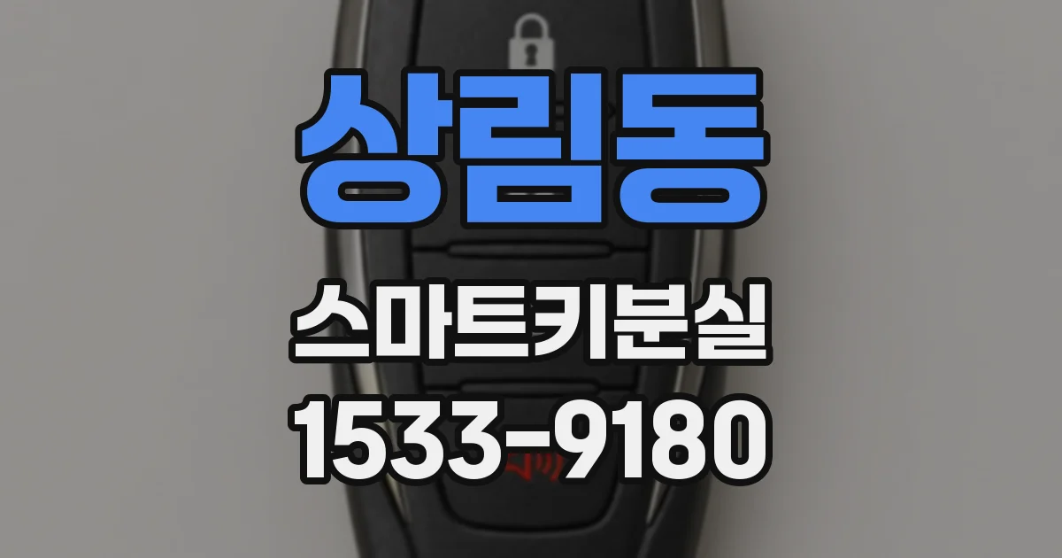 상림동 스마트키분실