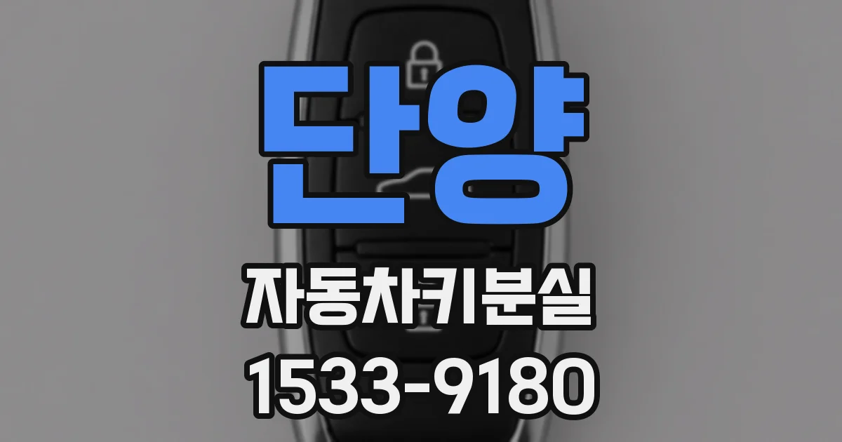 단양 자동차키분실