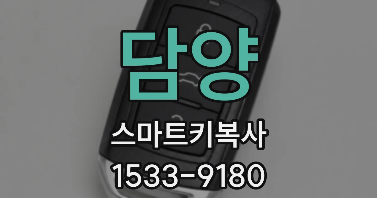 담양 스마트키복사