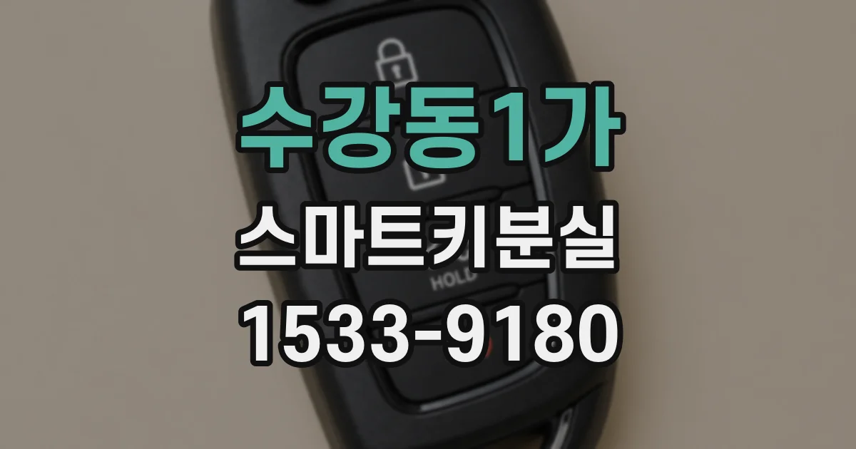 수강동1가 스마트키분실