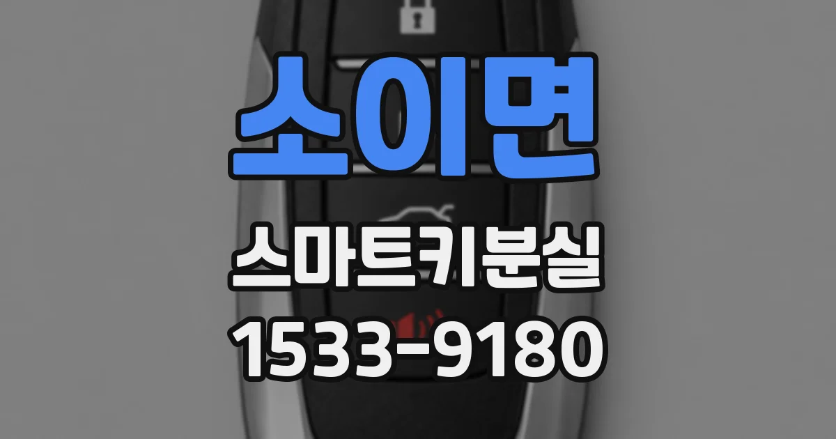 소이면 스마트키분실