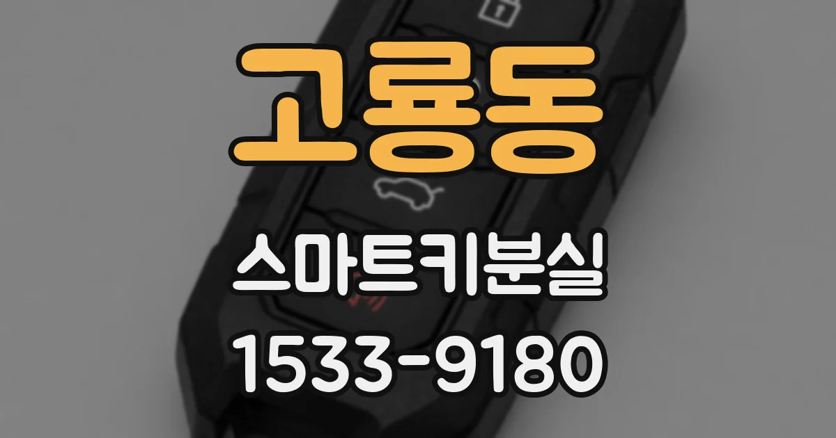 고룡동 스마트키분실