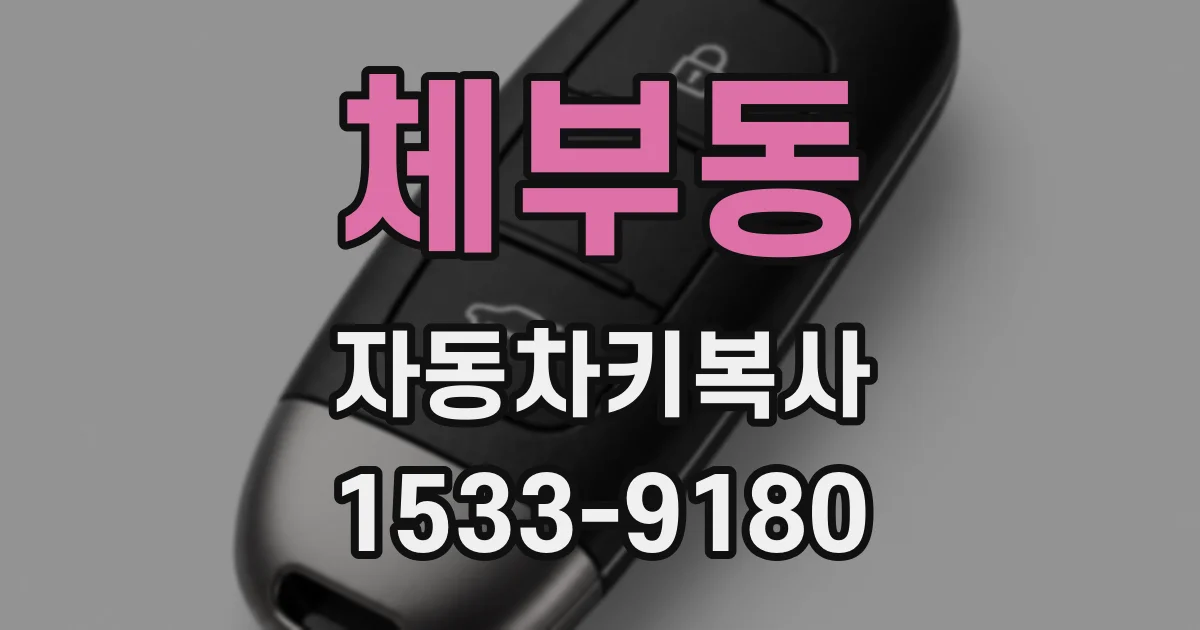 체부동 자동차키복사