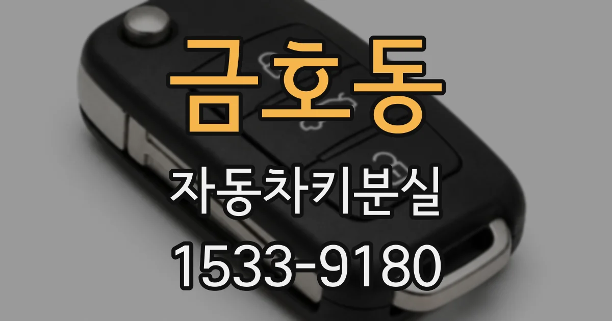 금호동 자동차키분실
