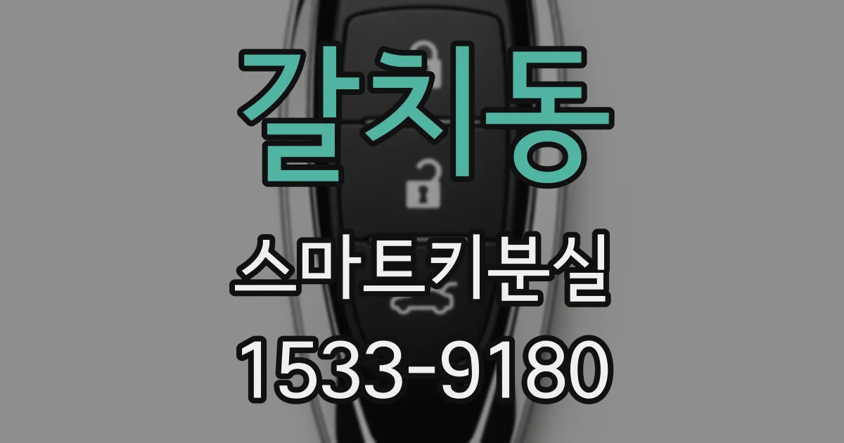갈치동 스마트키분실