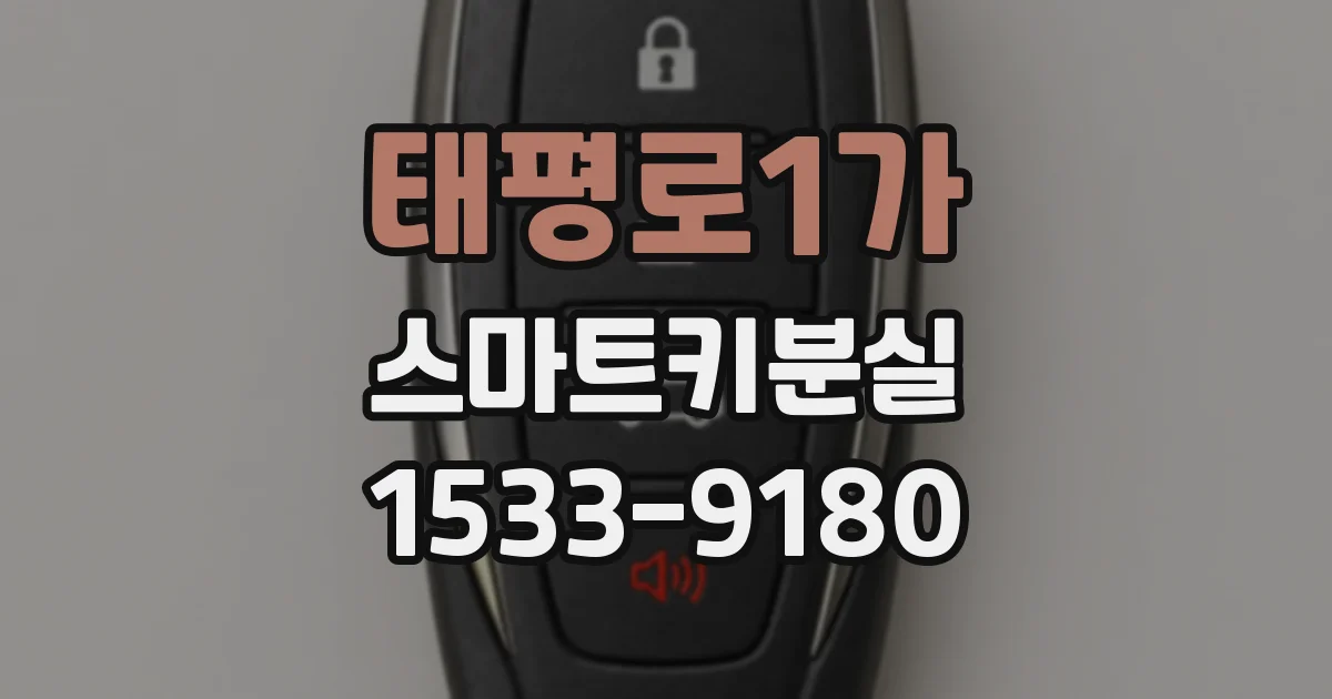 태평로1가 스마트키분실